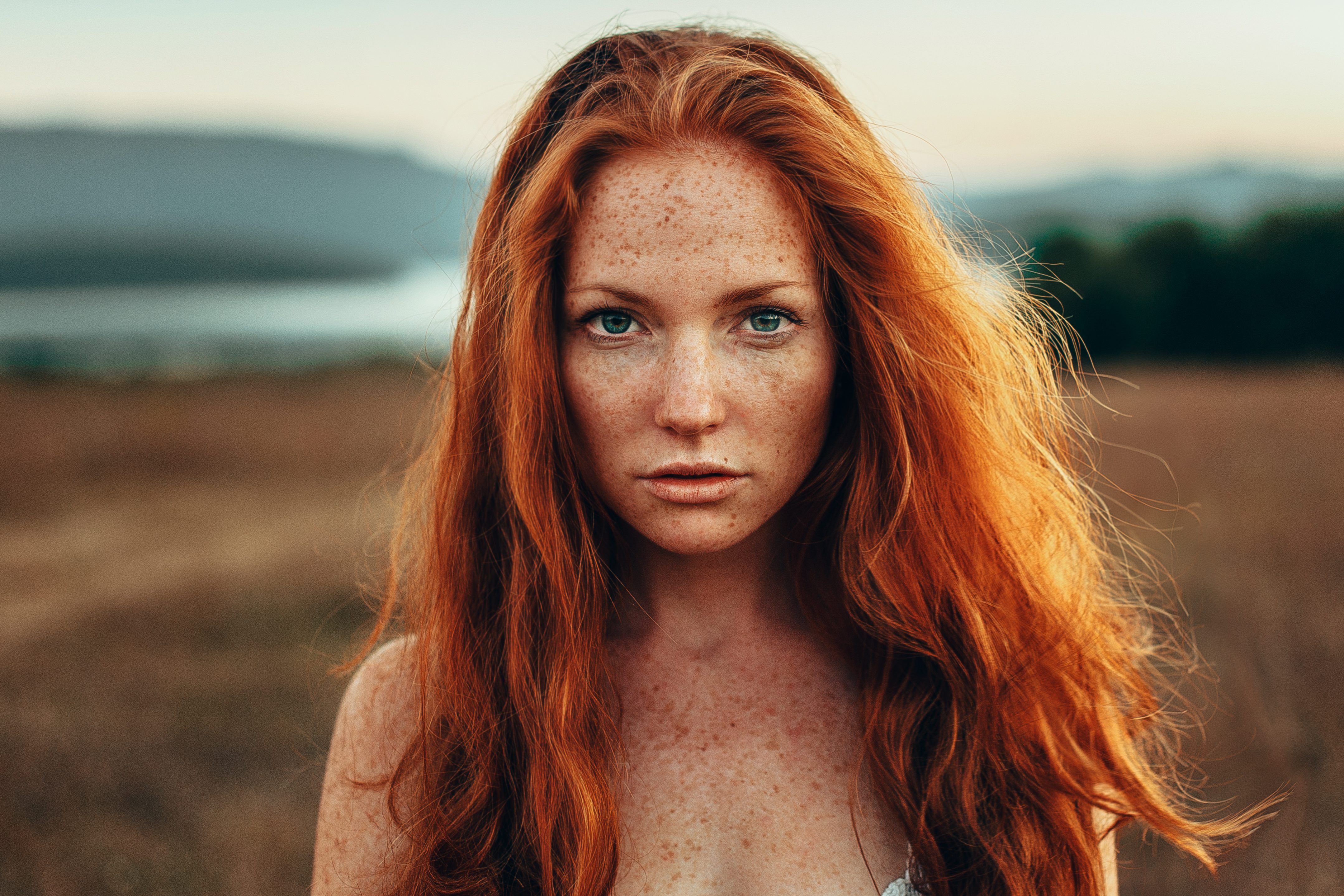 coloration louise xiv